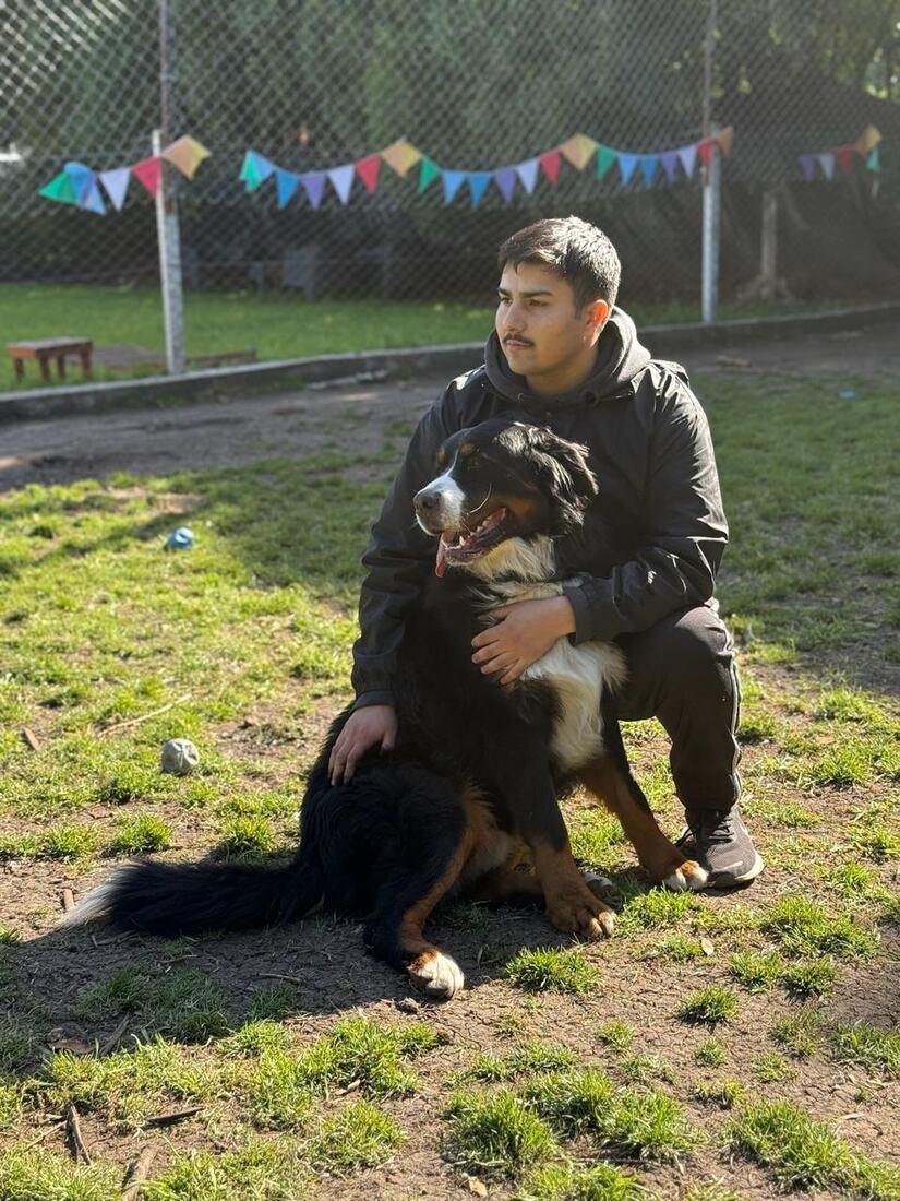 Integrante del equipo abrazando a un boyero de Berna