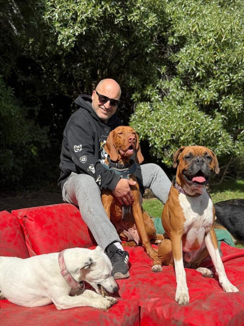 Integrante de la familia junto a tres perros en el parque